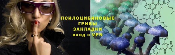 стаф Балахна