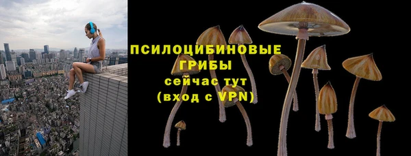 стаф Балахна