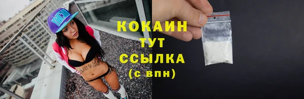 стаф Балахна